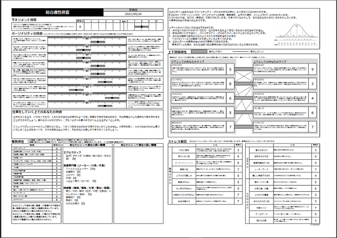 ミイダスコンピテンシー診断結果