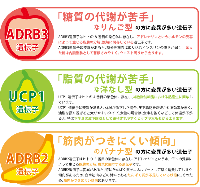 ジーンライフ_DIET